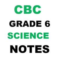 Cbc Grade 6 Science Notes