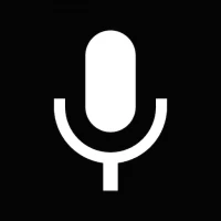 The Reverse Audio