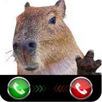 Capybara Funny calling