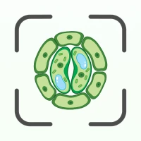 Biology AI: Homework Helper